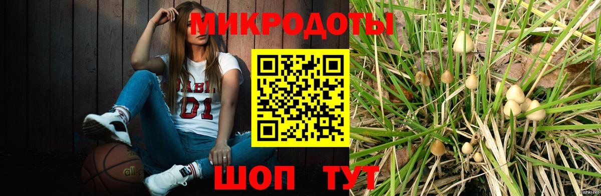 Псилоцибиновые грибы Cubensis  Вход с VPN  Удомля 
