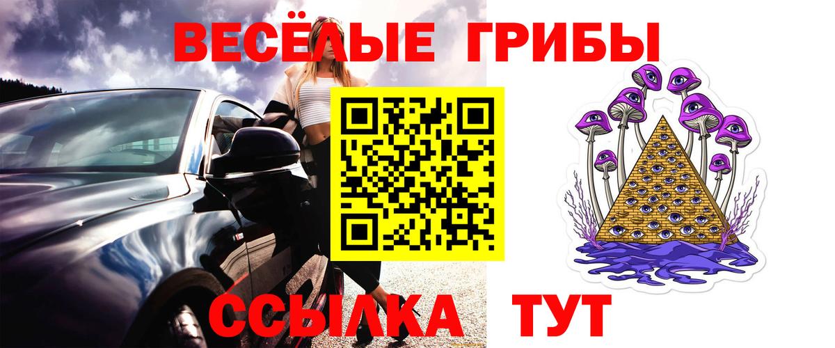 Галлюциногенные грибы MAGIC MUSHROOMS Удомля